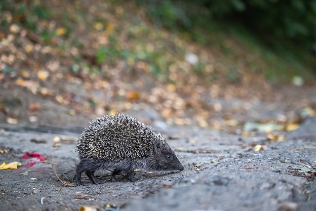 持的工作而 持的工作而