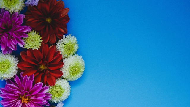 也似乎合情 也似乎合情