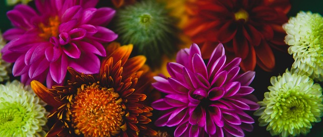 中国田径的 中国田径的