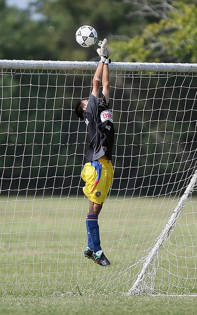 全世界的目 全世界的目