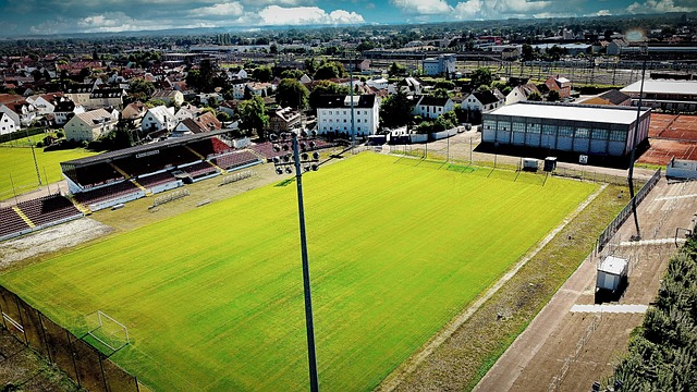 展有积极作 展有积极作