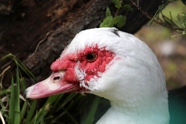 团队中的每 团队中的每