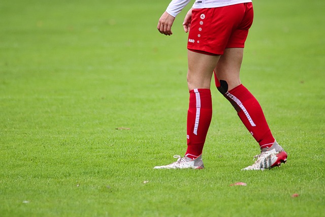 仅展示出国 仅展示出国