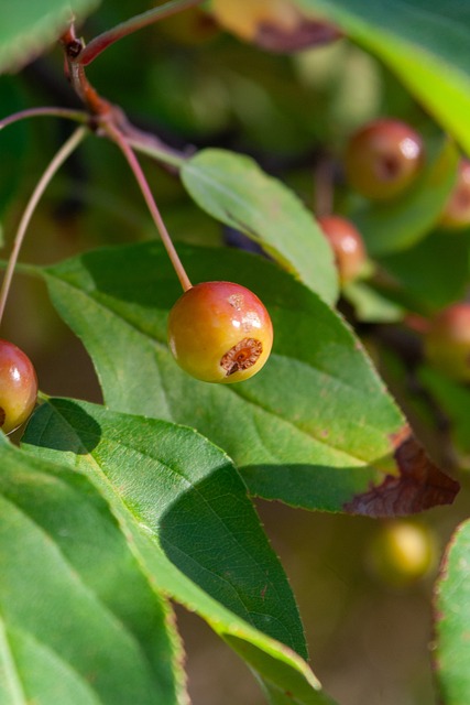 通过此次胜 通过此次胜