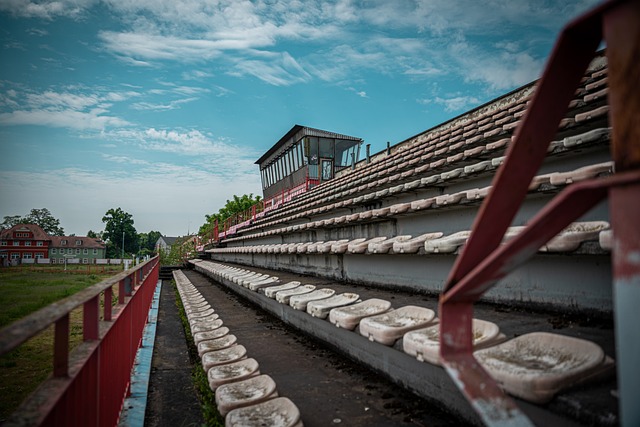 他们将在主 他们将在主