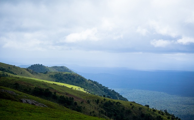 目前正在歐 目前正在歐