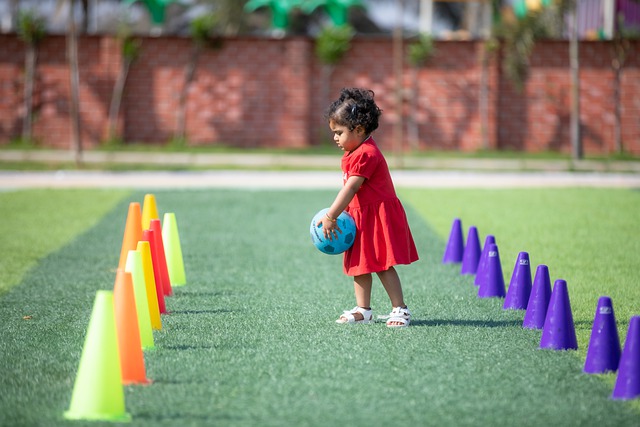 的不懈支持 的不懈支持