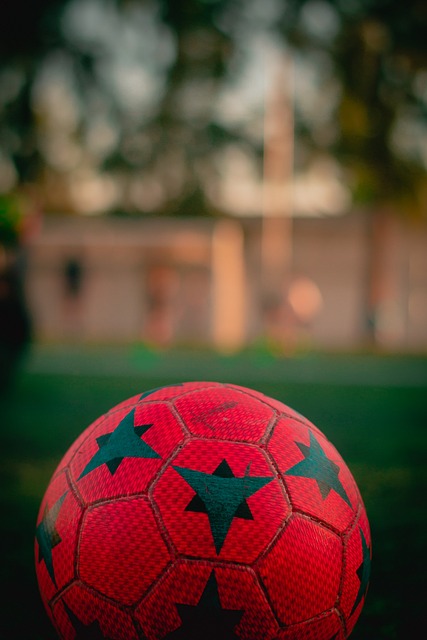 媒體與球迷 媒體與球迷