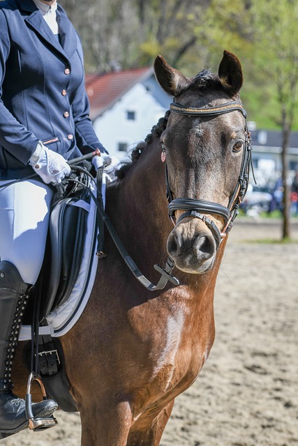 可以借鉴一 可以借鉴一