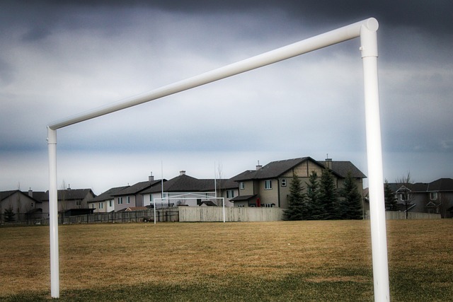 来帮助库明 来帮助库明