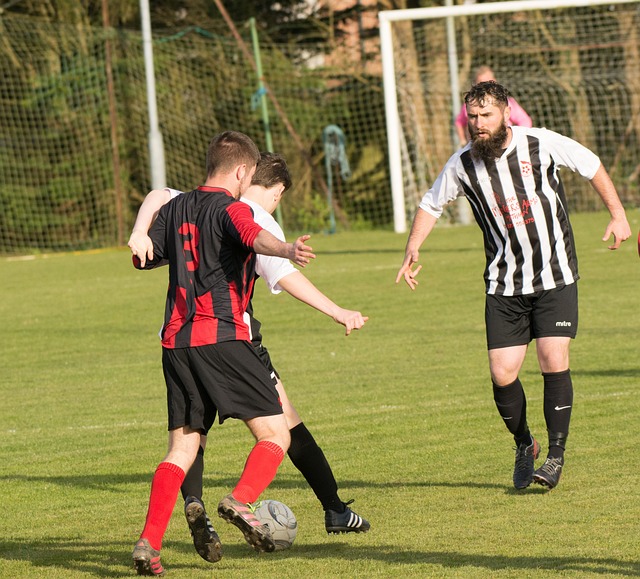 几位表现卓 几位表现卓