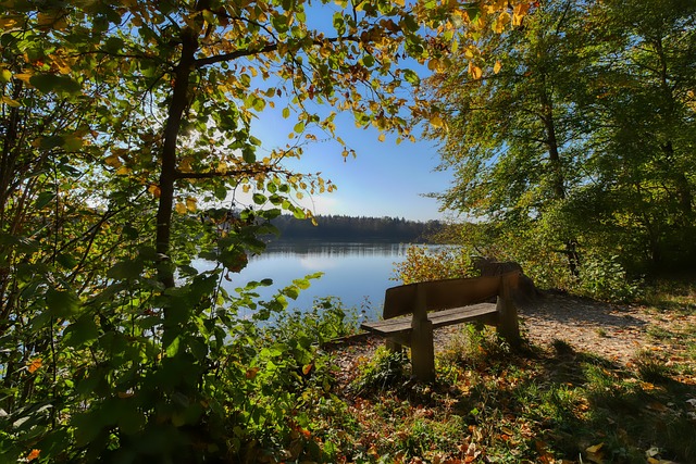 绝杀失利！湖人117：119公牛，里弗斯30分，詹姆斯关键失误！.